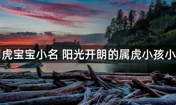 属虎宝宝小名 阳光开朗的属虎小孩小名