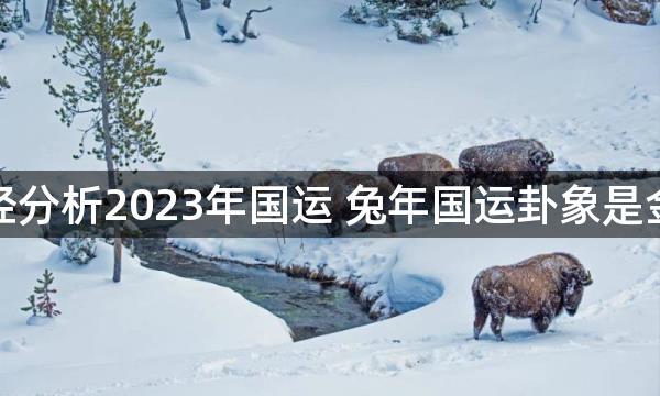 易经分析2023年国运 兔年国运卦象是金卦