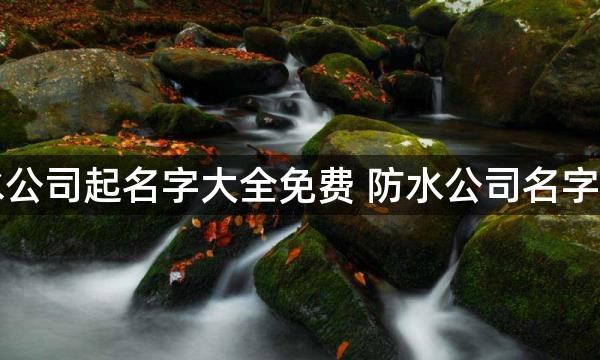 防水公司起名字大全免费 防水公司名字独特