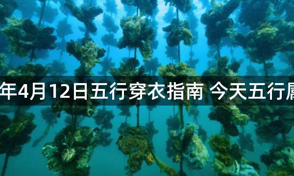 2023年4月12日五行穿衣指南 今天五行属什么