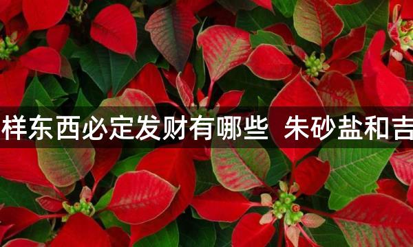 口袋放一样东西必定发财有哪些  朱砂盐和吉祥物均可