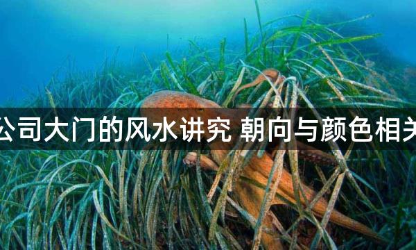 公司大门的风水讲究 朝向与颜色相关