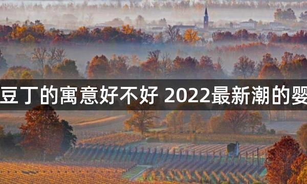 小名叫豆丁的寓意好不好 2022最新潮的婴儿乳名