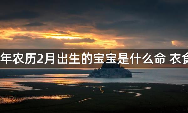 2023年农历2月出生的宝宝是什么命 衣食丰足