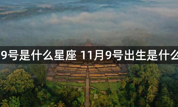 11月9号是什么星座 11月9号出生是什么星座