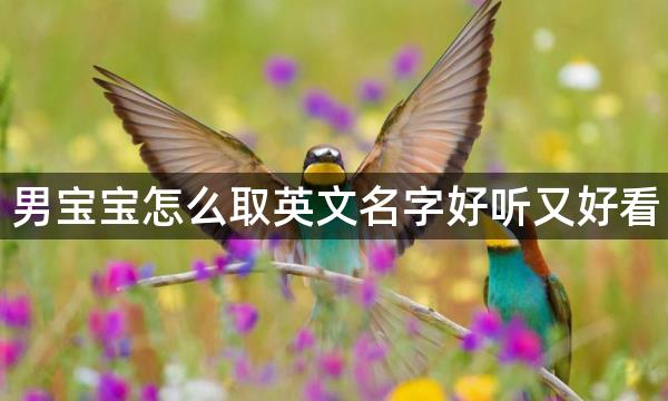 男宝宝怎么取英文名字好听又好看