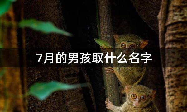 7月的男孩取什么名字