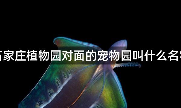 石家庄植物园对面的宠物园叫什么名字