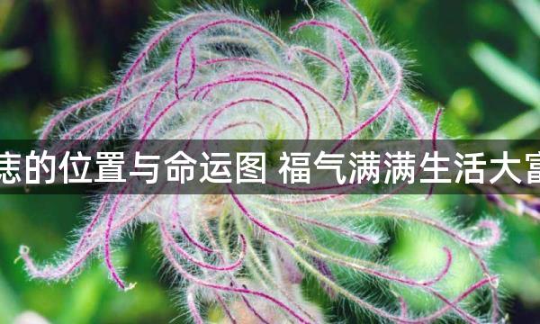 下巴痣的位置与命运图 福气满满生活大富大贵