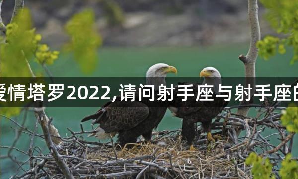 射手座女爱情塔罗2022,请问射手座与射手座的感情好吗