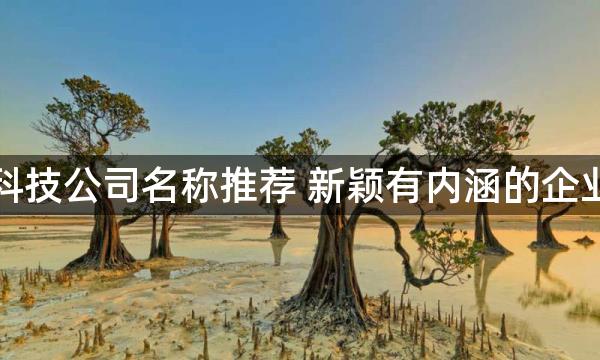 资源科技公司名称推荐 新颖有内涵的企业名字