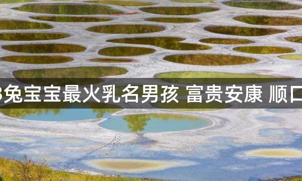 2023兔宝宝最火乳名男孩 富贵安康 顺口好听