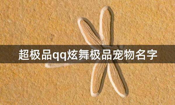 超极品qq炫舞极品宠物名字