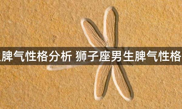 狮子座男生脾气性格分析 狮子座男生脾气性格分析是什么