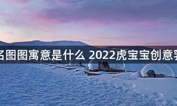 男孩小名图图寓意是什么 2022虎宝宝创意乳名精选