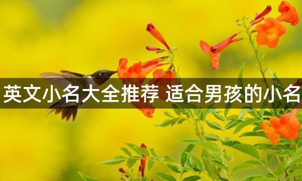 英文小名大全推荐 适合男孩的小名