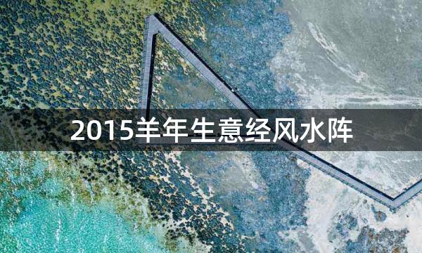 2015羊年生意经风水阵