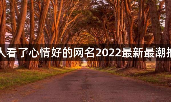 让人看了心情好的网名2022最新最潮推荐