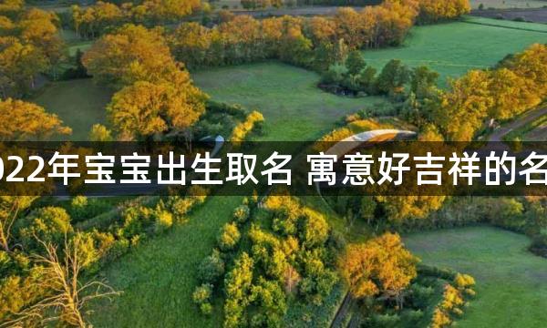 2022年宝宝出生取名 寓意好吉祥的名字