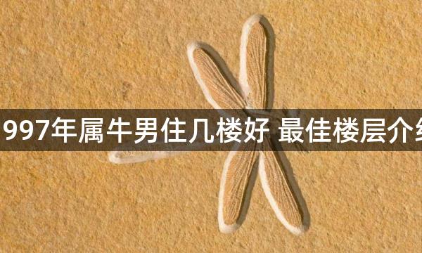 1997年属牛男住几楼好 最佳楼层介绍