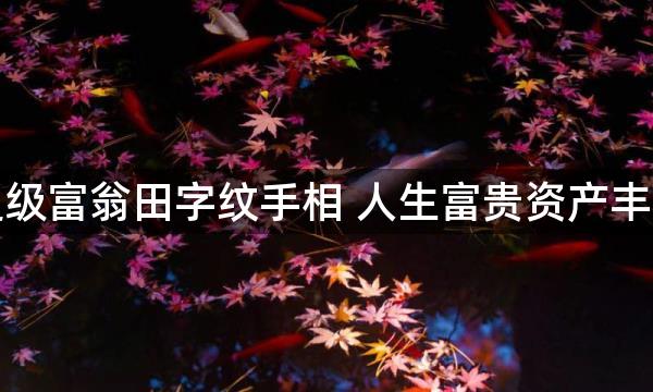 超级富翁田字纹手相 人生富贵资产丰厚