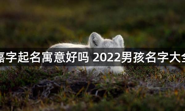 嘉字起名寓意好吗 2022男孩名字大全