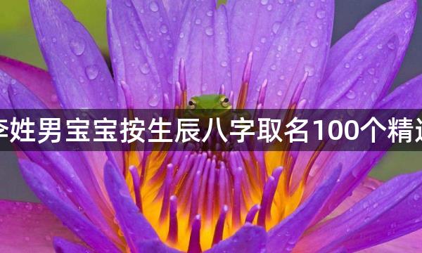 李姓男宝宝按生辰八字取名100个精选