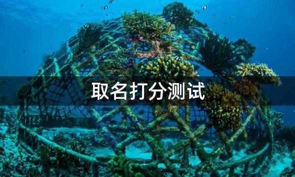 取名打分测试