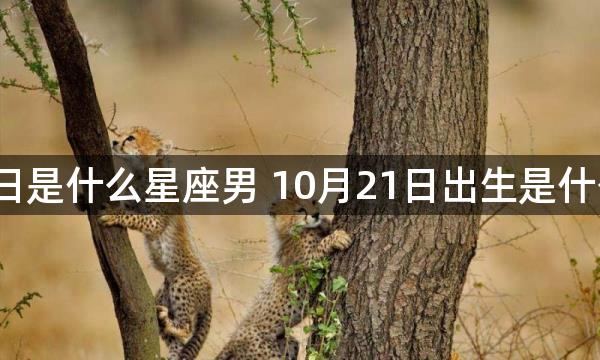 10月21日是什么星座男 10月21日出生是什么星座男