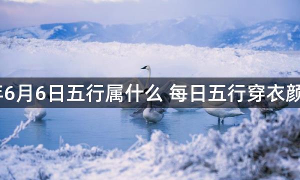 2023年6月6日五行属什么 每日五行穿衣颜色播报