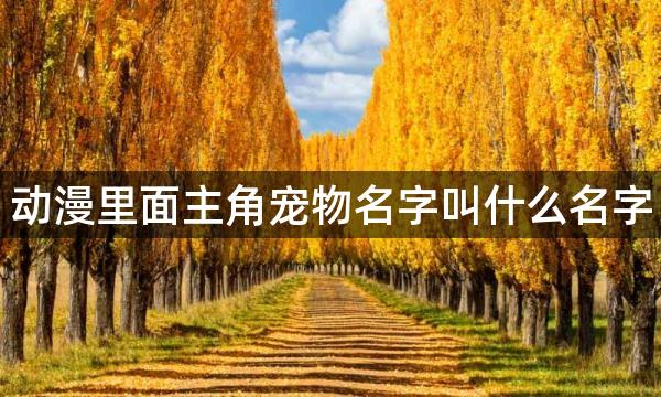 动漫里面主角宠物名字叫什么名字