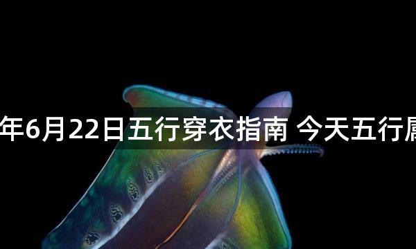 2023年6月22日五行穿衣指南 今天五行属什么