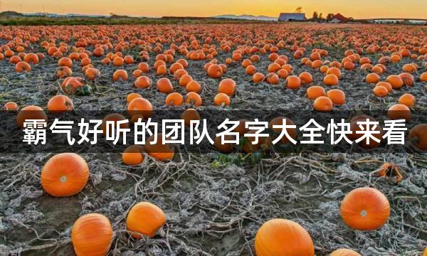 霸气好听的团队名字大全快来看