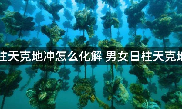 夫妻日柱天克地冲怎么化解 男女日柱天克地冲婚姻