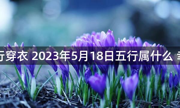 每天五行穿衣 2023年5月18日五行属什么 幸运颜色