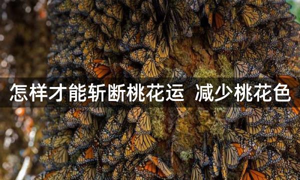 怎样才能斩断桃花运  减少桃花色