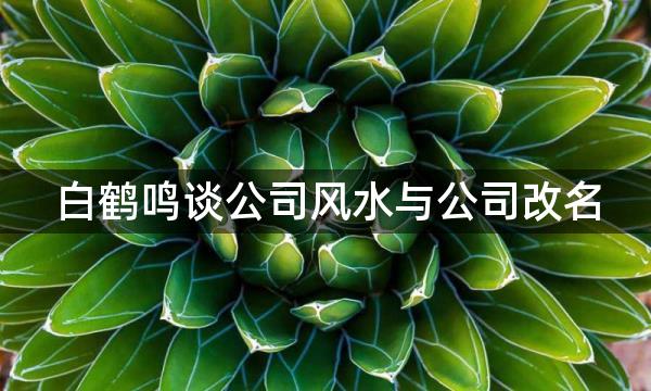 白鹤鸣谈公司风水与公司改名