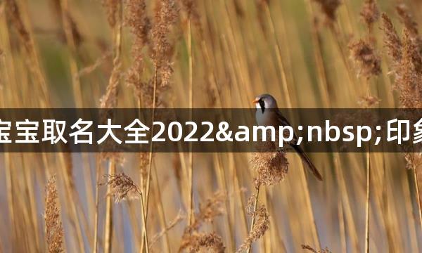 虎年宝宝取名大全2022&nbsp;印象深刻