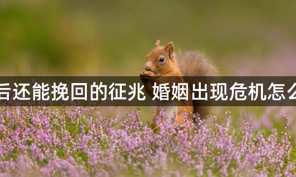 离婚后还能挽回的征兆 婚姻出现危机怎么补救