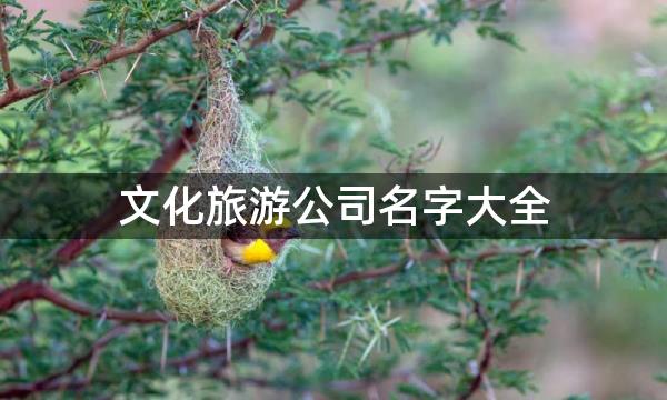 文化旅游公司名字大全