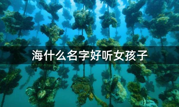 海什么名字好听女孩子