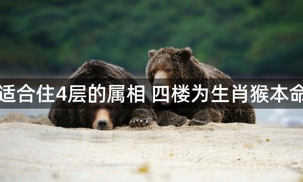 不适合住4层的属相 四楼为生肖猴本命层