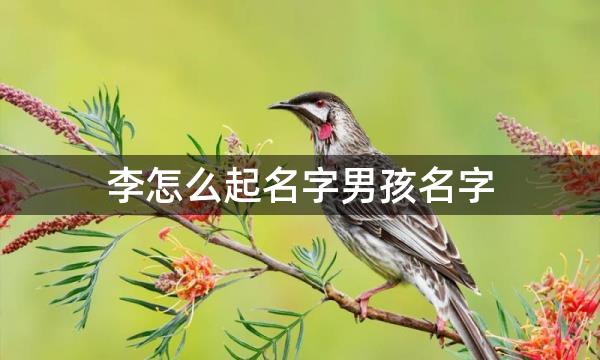 李怎么起名字男孩名字