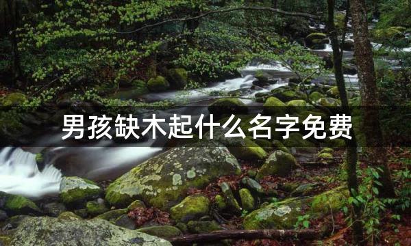 男孩缺木起什么名字免费