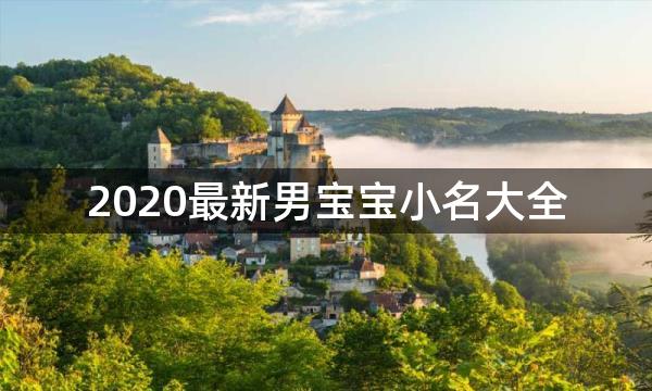 2020最新男宝宝小名大全