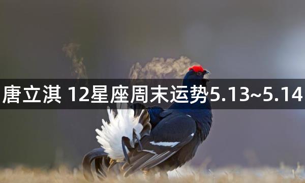 唐立淇 12星座周末运势5.13~5.14