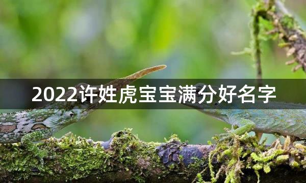 2022许姓虎宝宝满分好名字