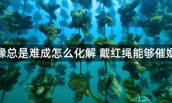 姻缘总是难成怎么化解 戴红绳能够催姻缘