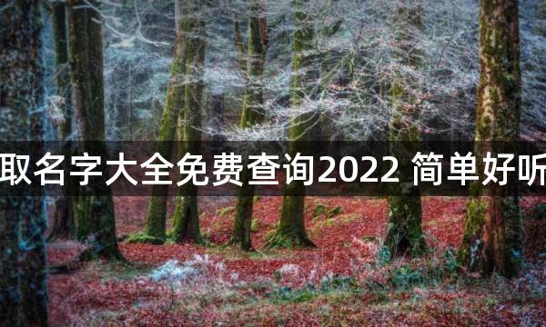 取名字大全免费查询2022 简单好听