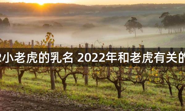 2022小老虎的乳名 2022年和老虎有关的小名